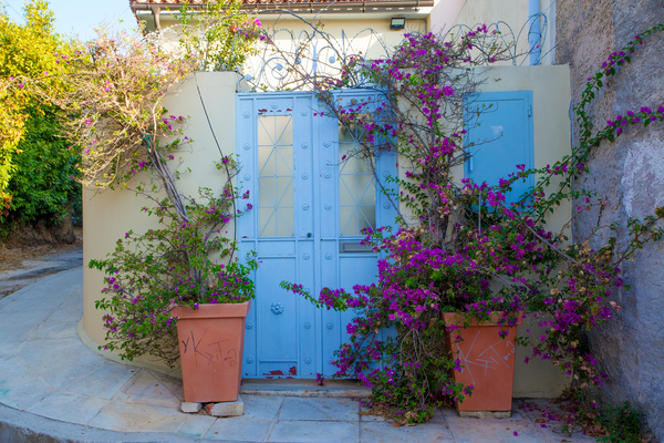Isolation porte, une porte vitrée avec des pots de fleurs de chaque côté.