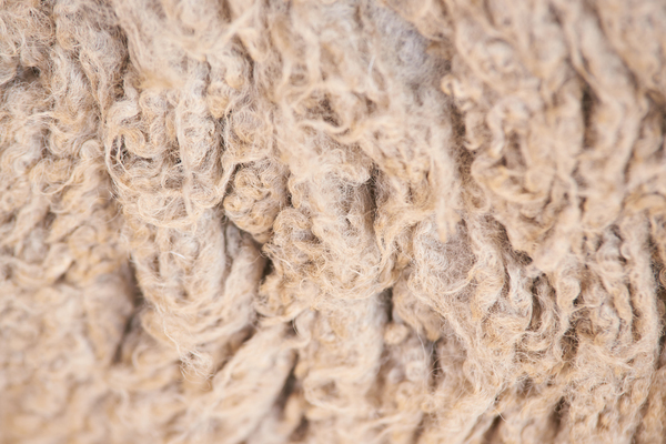 Texture d'un panneau isolant lors de la mise en œuvre d'une isolation laine de mouton.